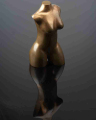 2010-T27_Maillol_A.Ginestet_38