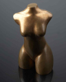 2010-T27_Maillol_A.Ginestet_43