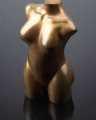 2010-T28-VenusShell_A.Ginestet_73
