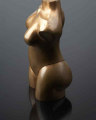 2010-T28-VenusShell_A.Ginestet_74