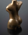 2010-T28-VenusShell_A.Ginestet_76