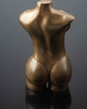2010-T28-VenusShell_A.Ginestet_77